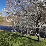 Дом отдыха Confortable 3 Au Bord De L'allier - Fr-1-582-16