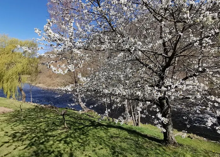 Holiday home Confortable 3 Au Bord De L'allier - Fr-1-582-16